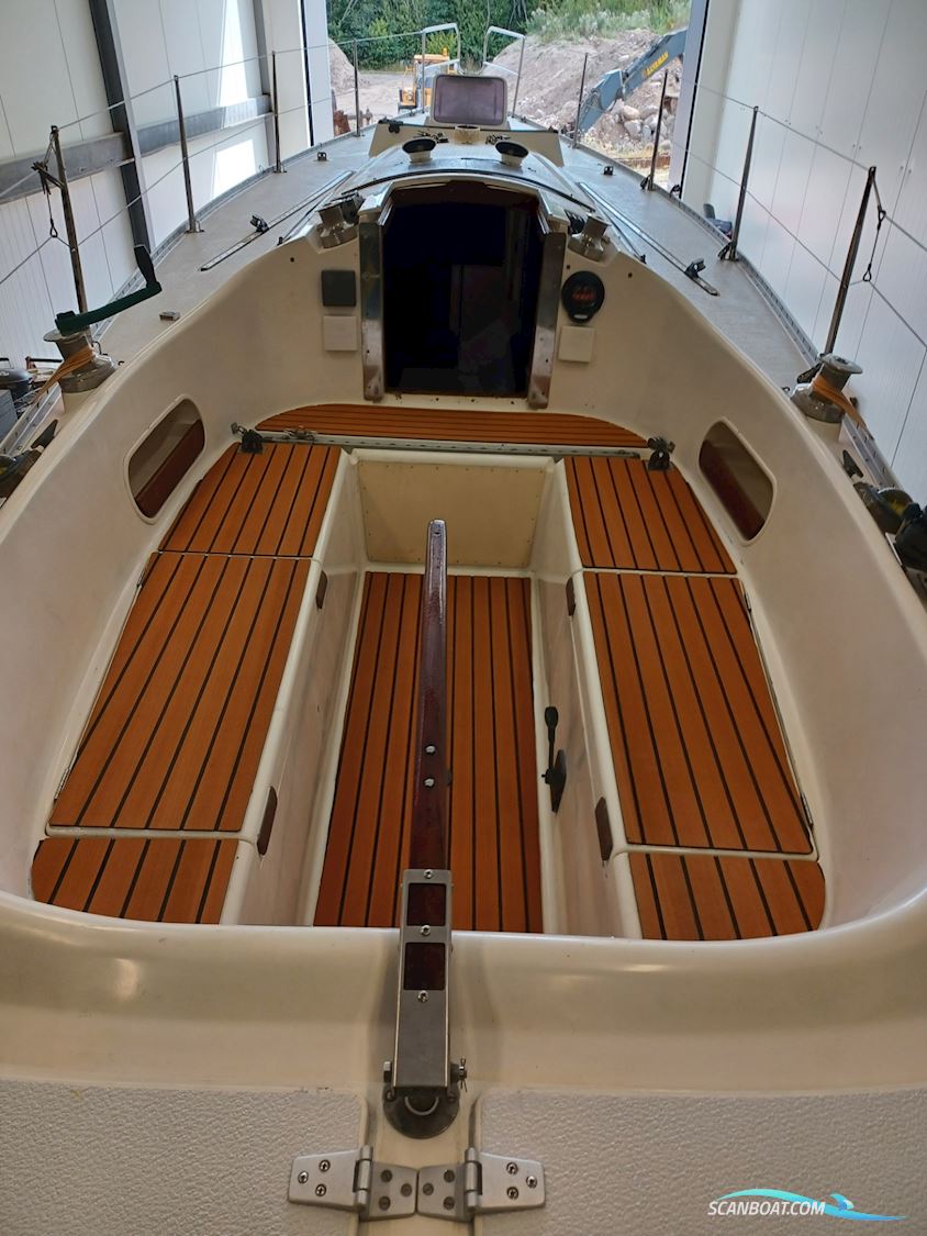 Lady Helmsman
