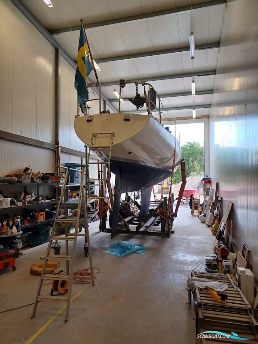 Lady Helmsman