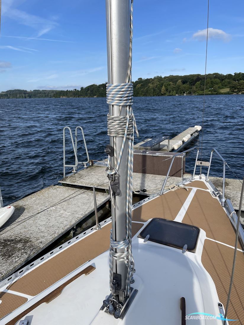 Larsen 25