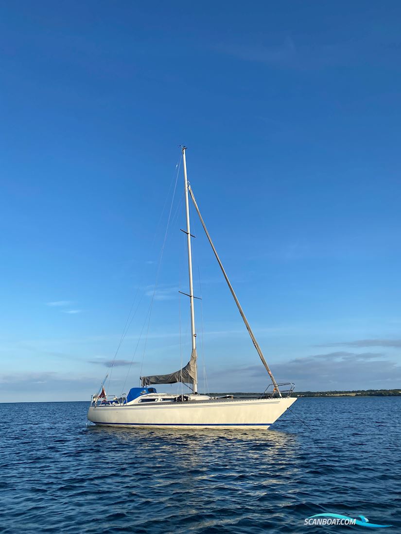 Larsen 34