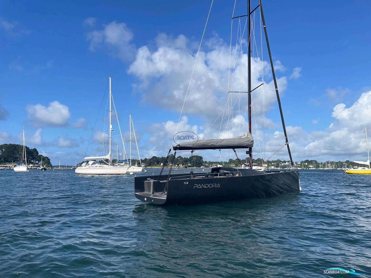 LATITUDE 46 ALPHENA ONE