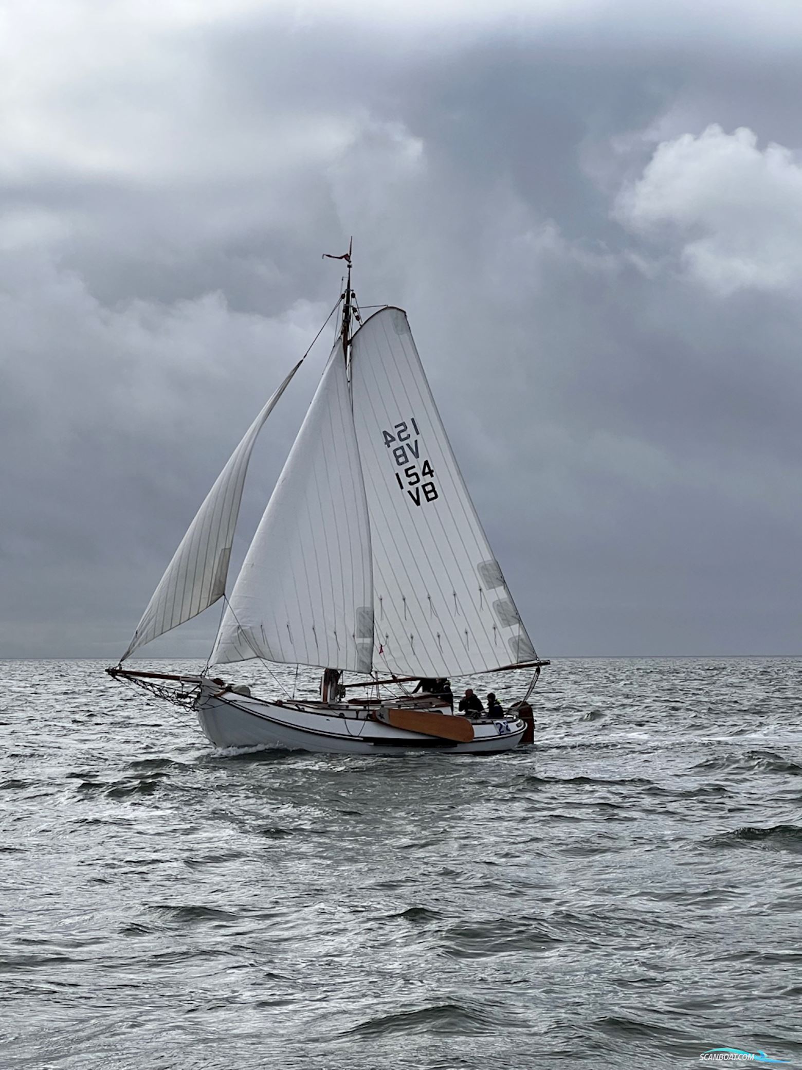 Lemsteraak Blom Roefmodel Anna