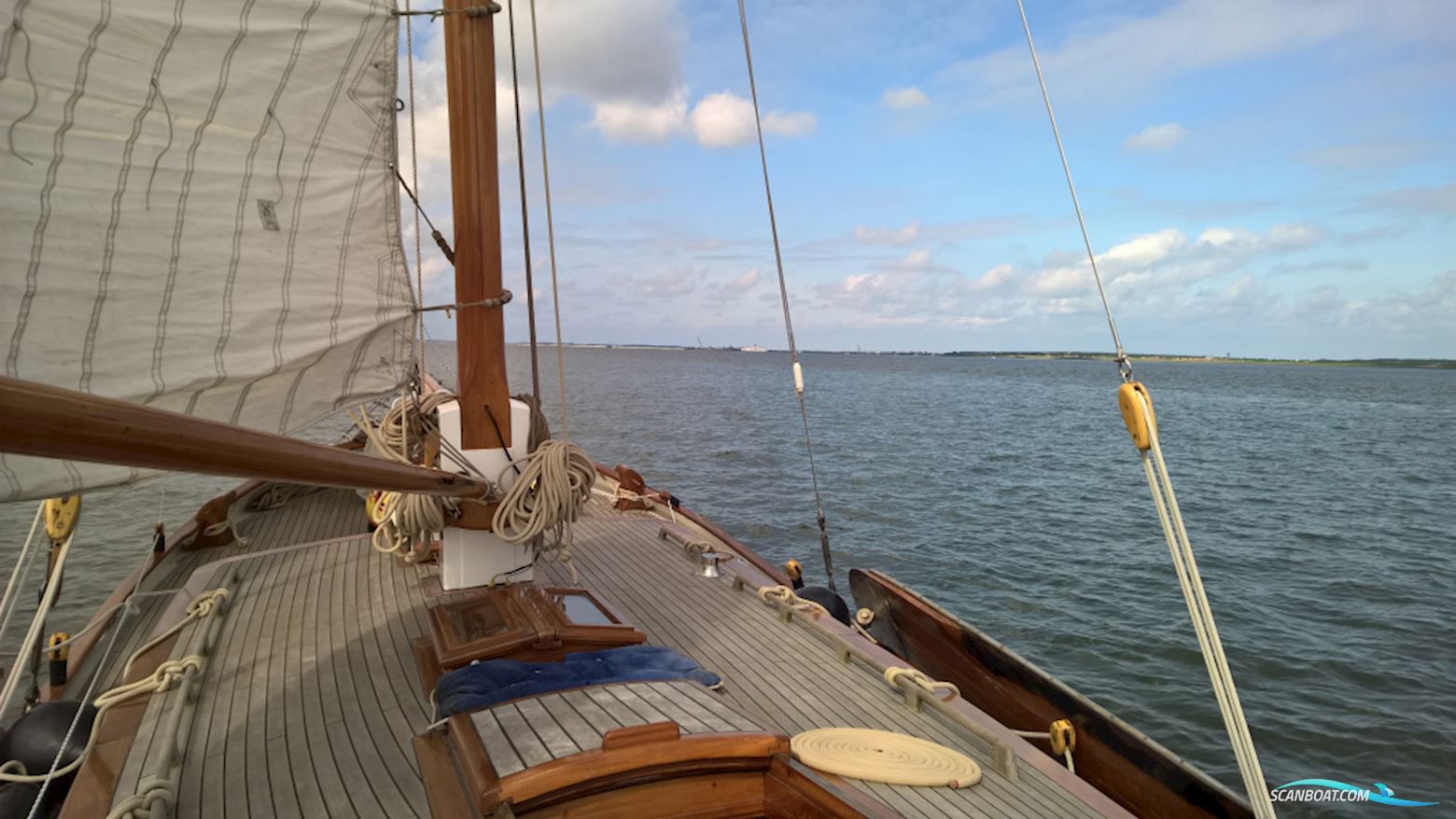 Lemsteraak Blom Roefmodel Anna