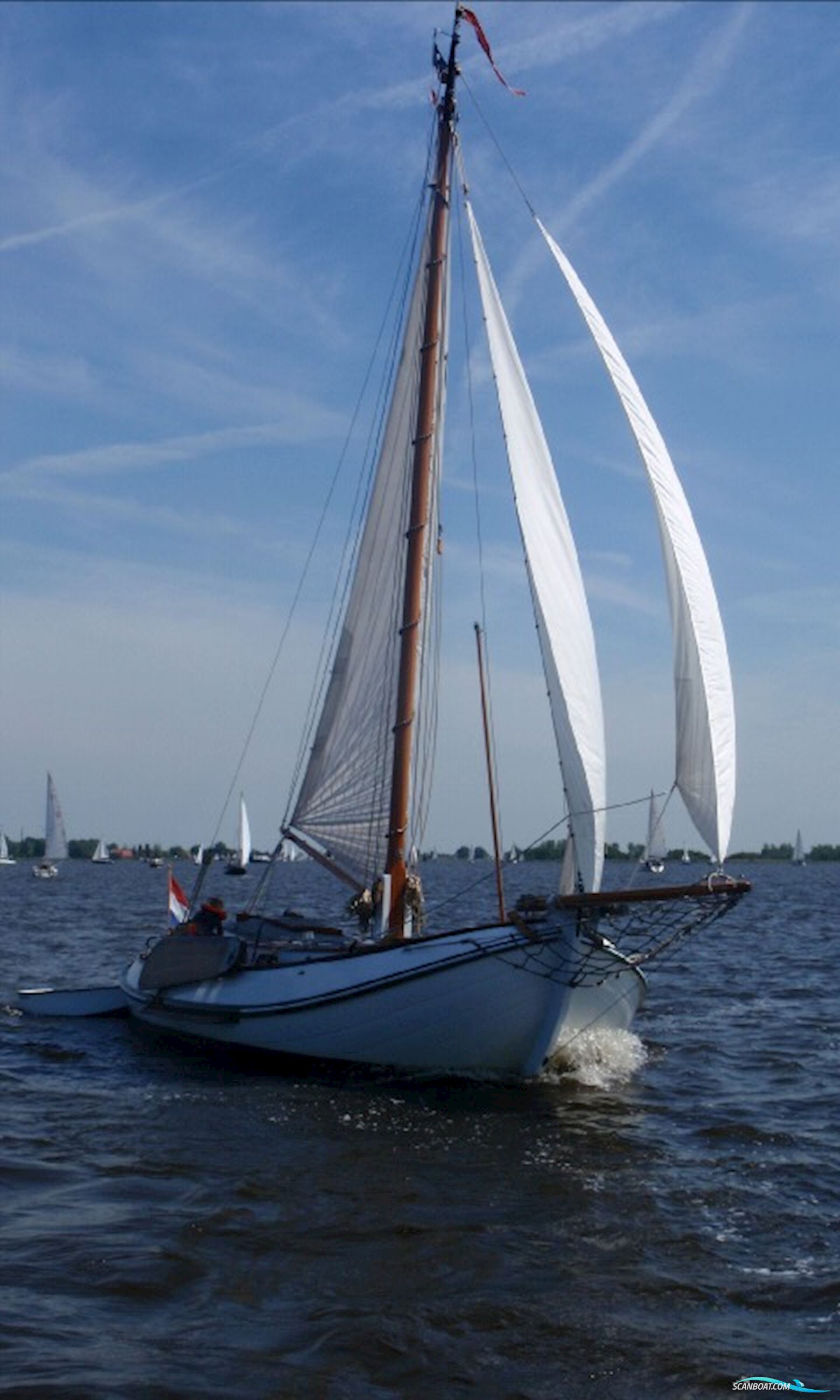 Lemsteraak Blom Roefmodel Anna