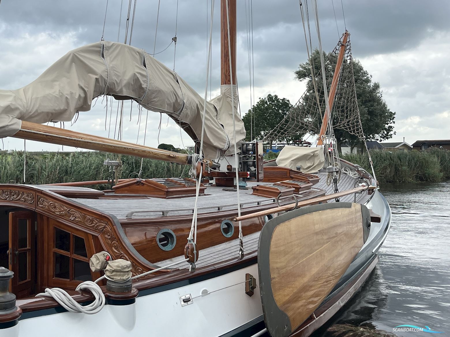 Lemsteraak Gouden Leeuw - Roefaak Hoek Design