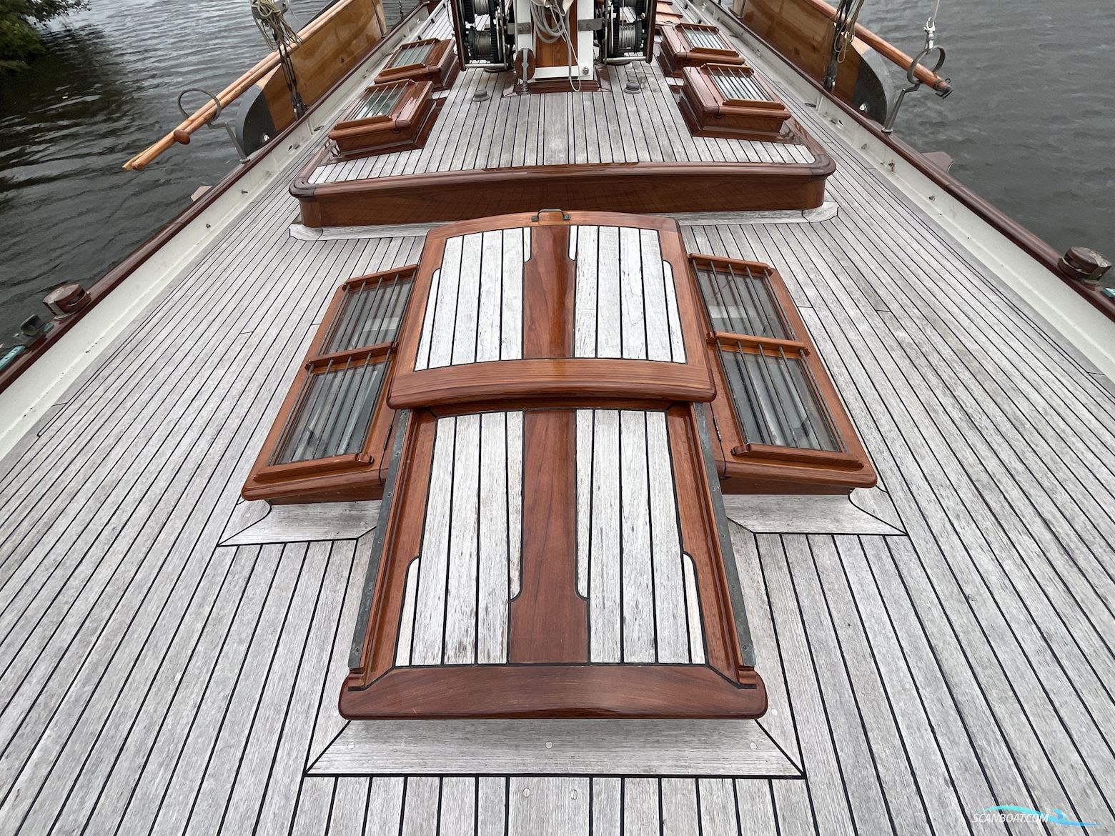 Lemsteraak Gouden Leeuw - Roefaak Hoek Design