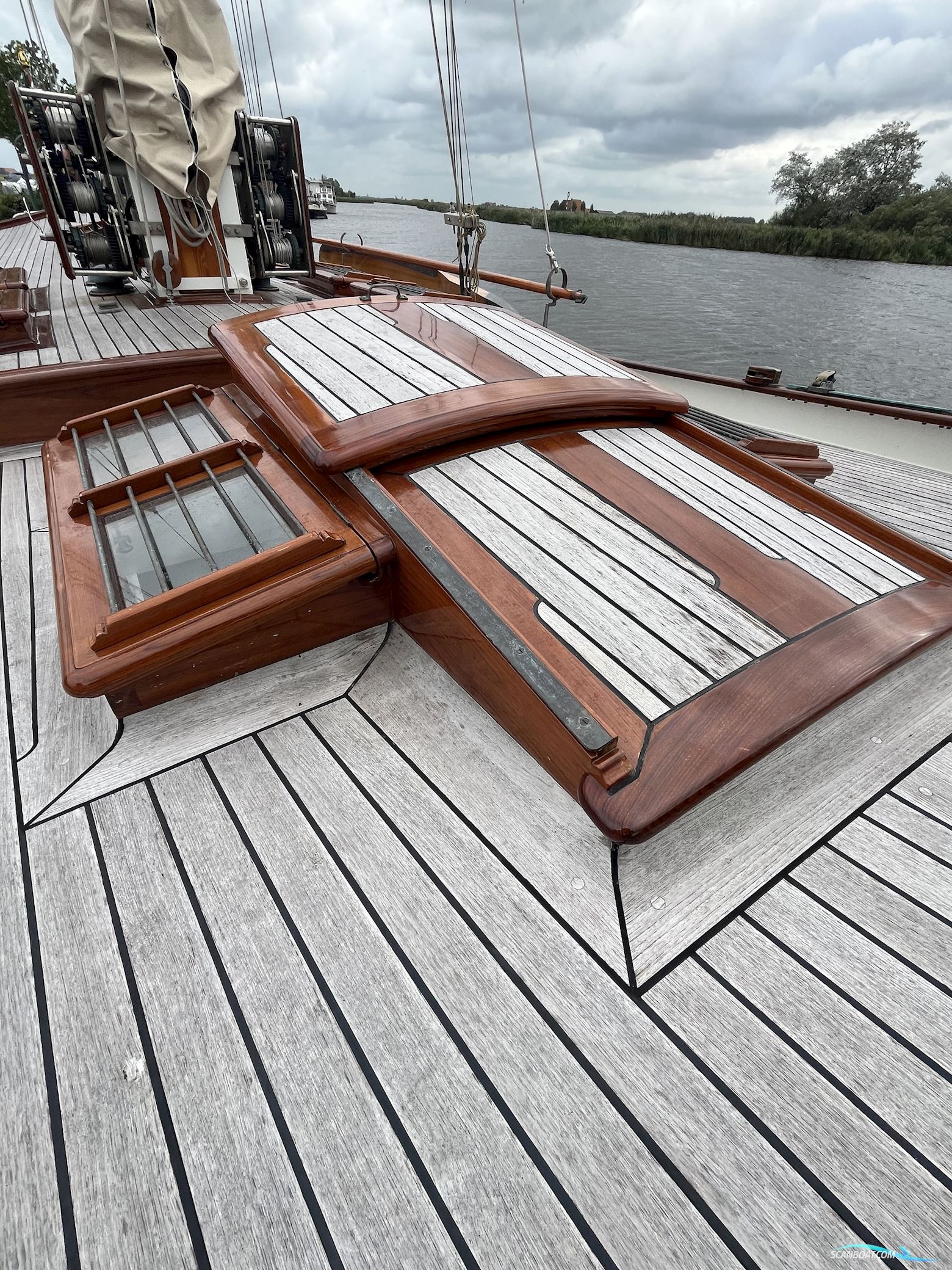 Lemsteraak Gouden Leeuw - Roefaak Hoek Design