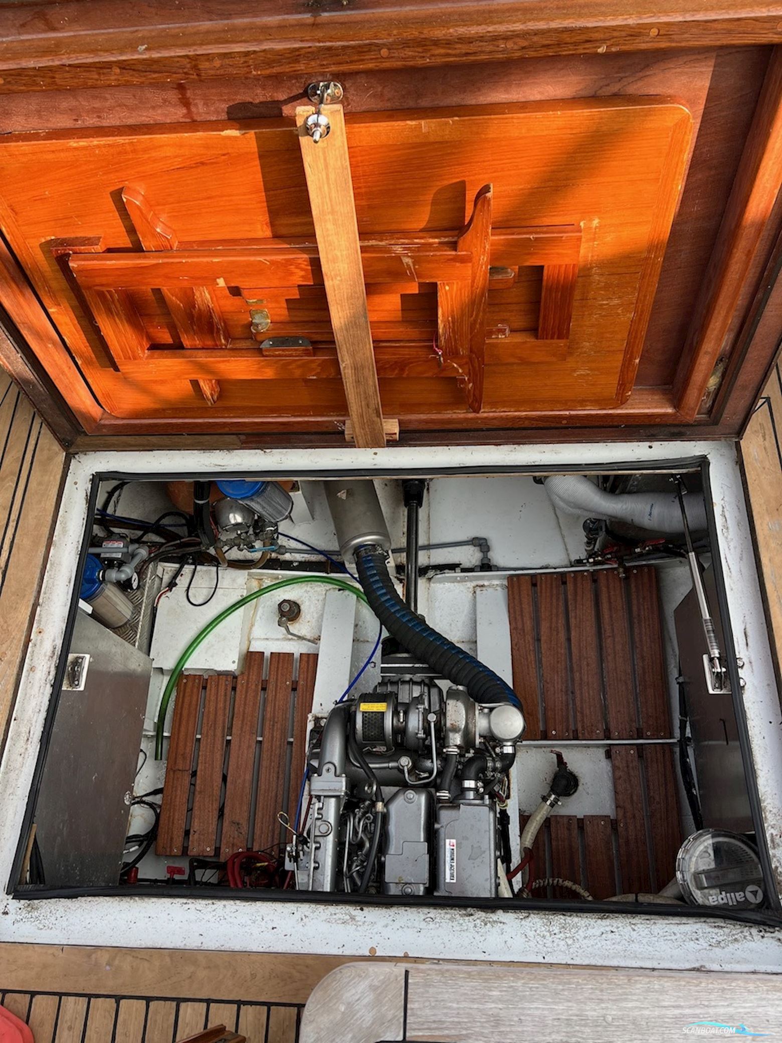 Lemsteraak Jonge Jan - Roefaak