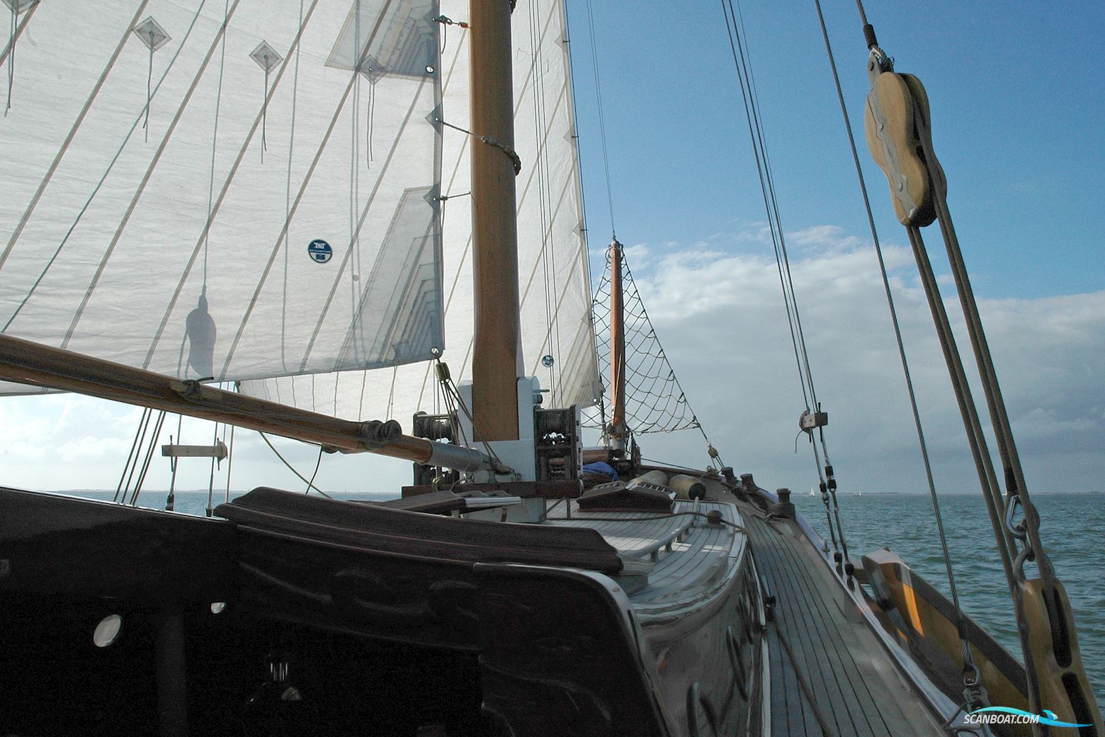 Lemsteraak Luye Man - Jachtuitvoering