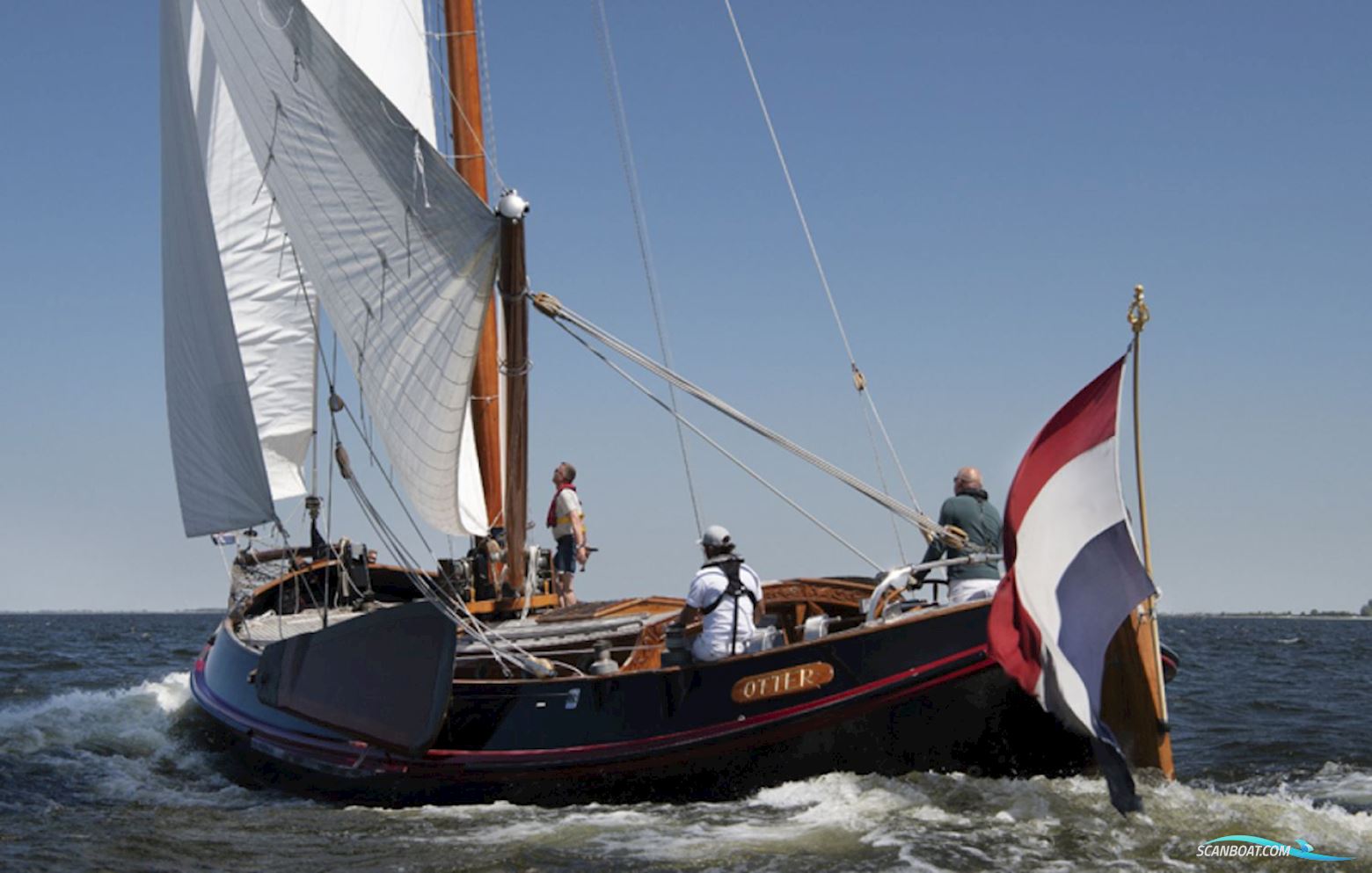 Lemsteraak Roefaak - Otter