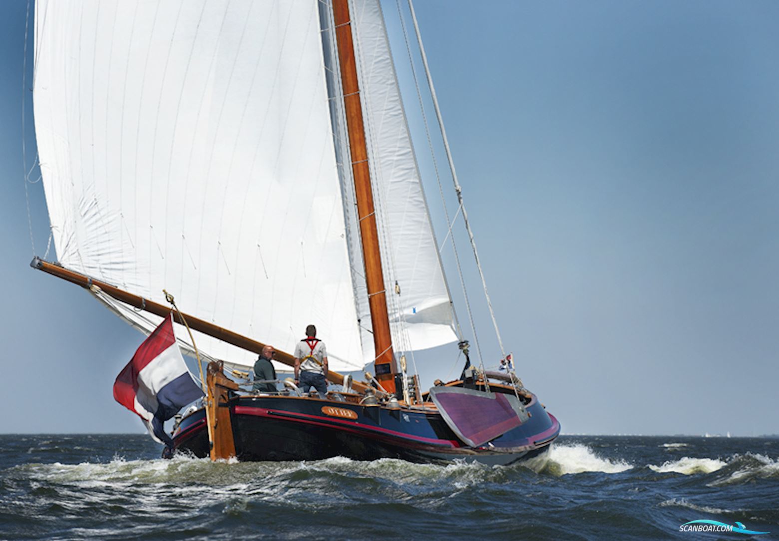 Lemsteraak Roefaak - Otter