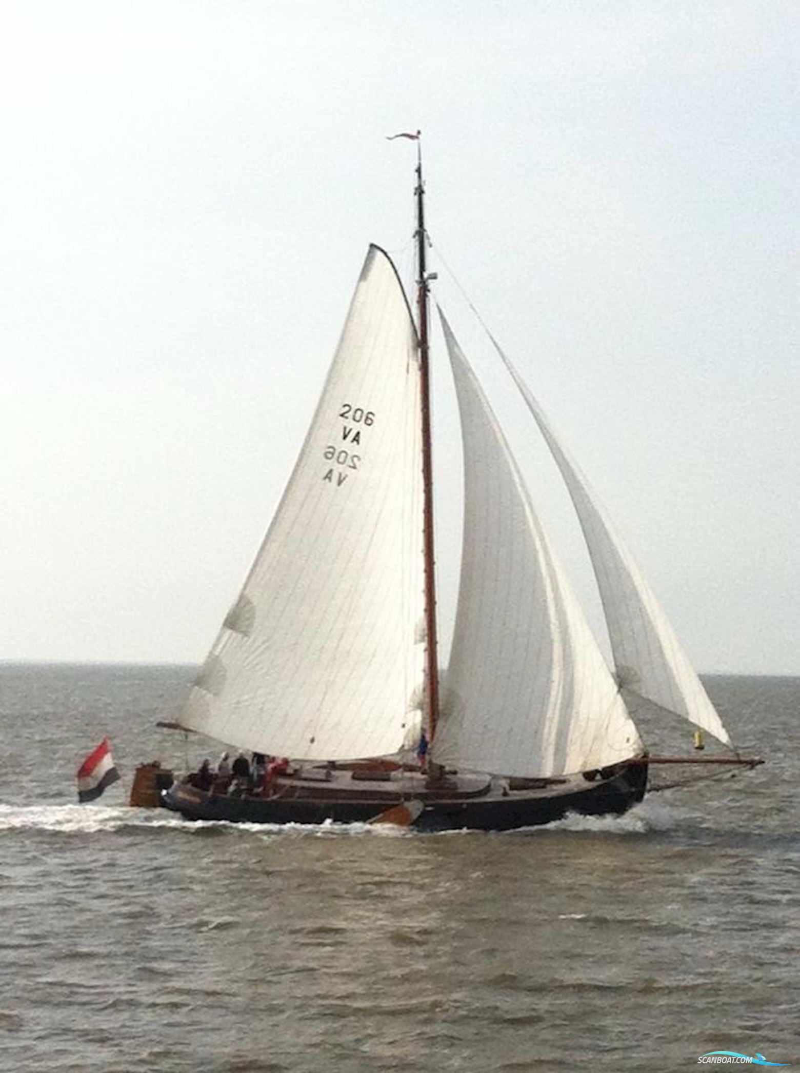 Lemsteraak Roefaak - Sydsulver