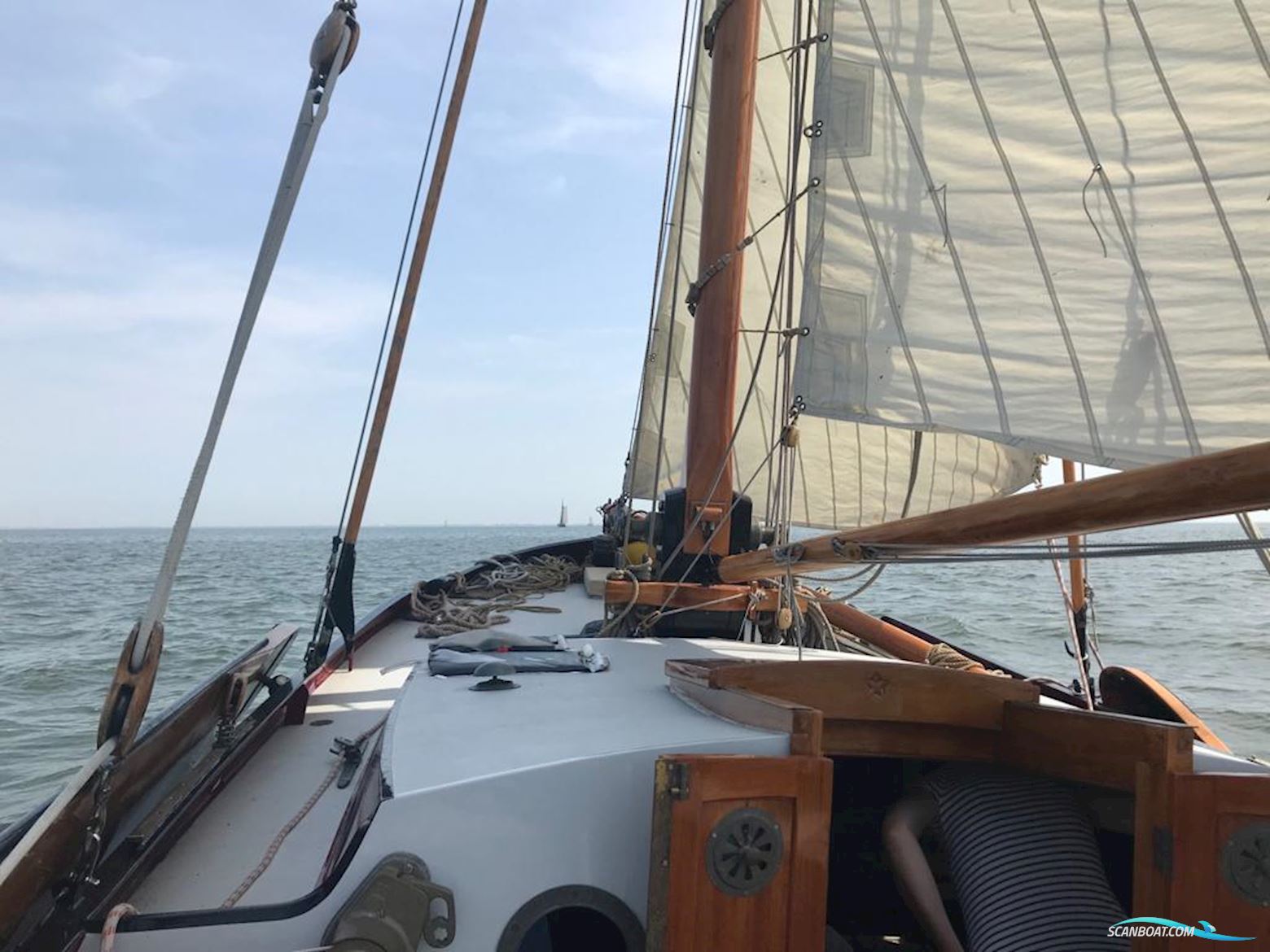 Lemsteraak Roefaak HI 30