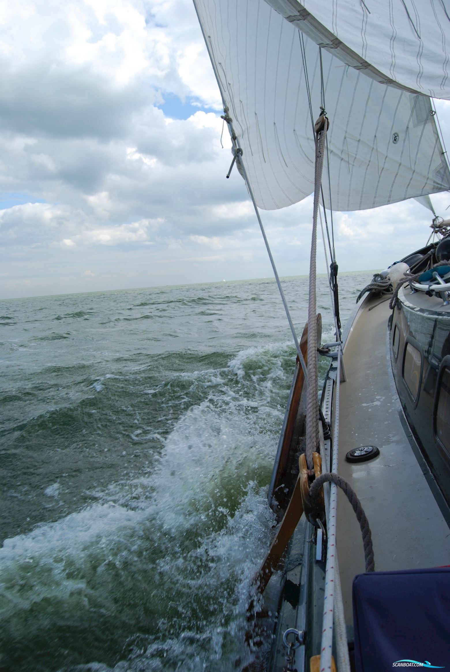 Lemsteraak Roefmodel 1010 - Dolfijn