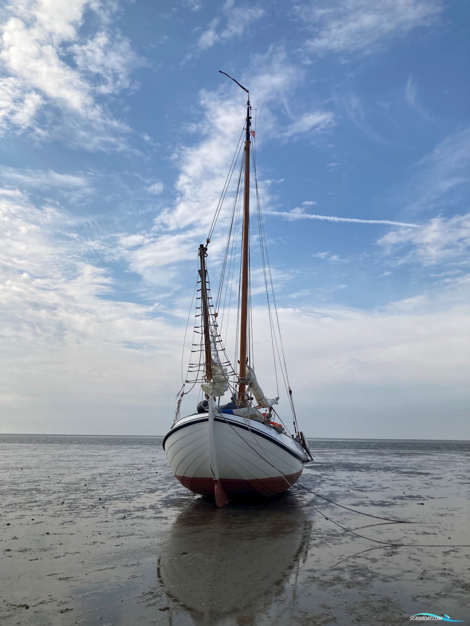 Lemsteraak Roefmodel 1010 - Dolfijn