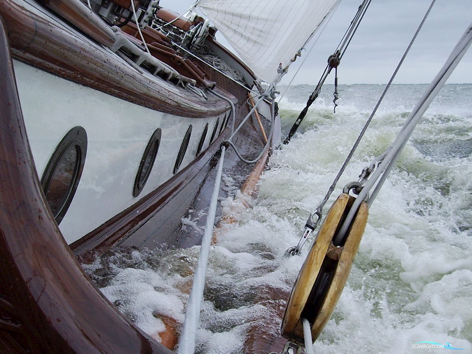 Lemsteraak Visotter - Roefuitvoering