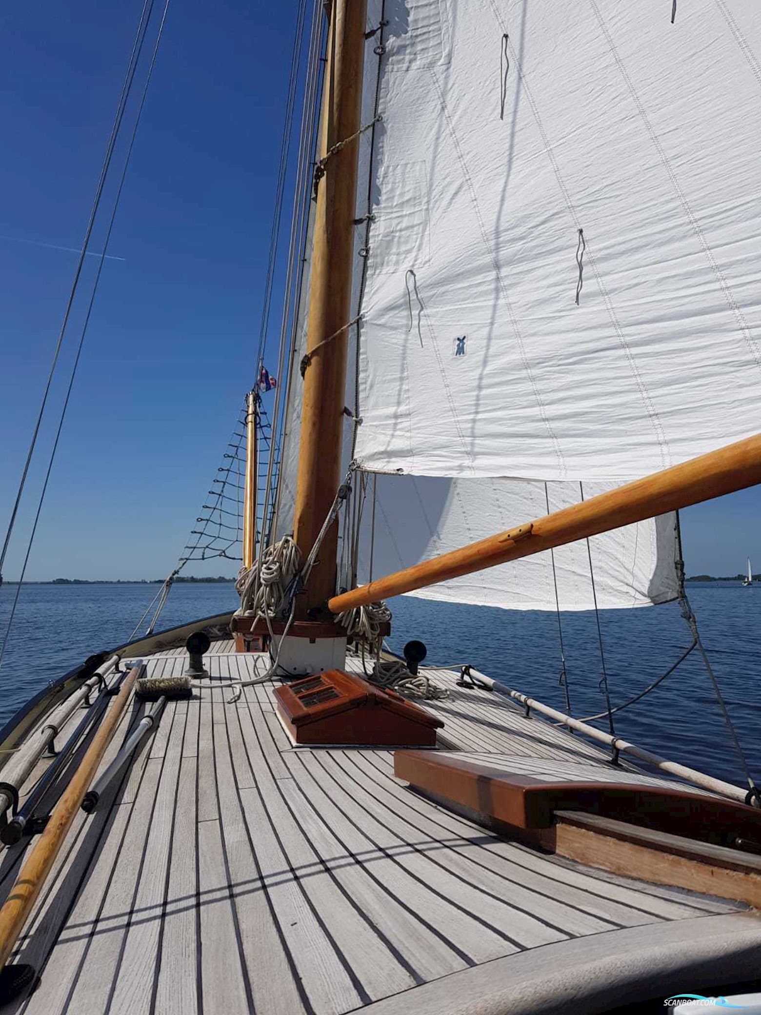 Lemsteraak Walrus - Roefuitvoering