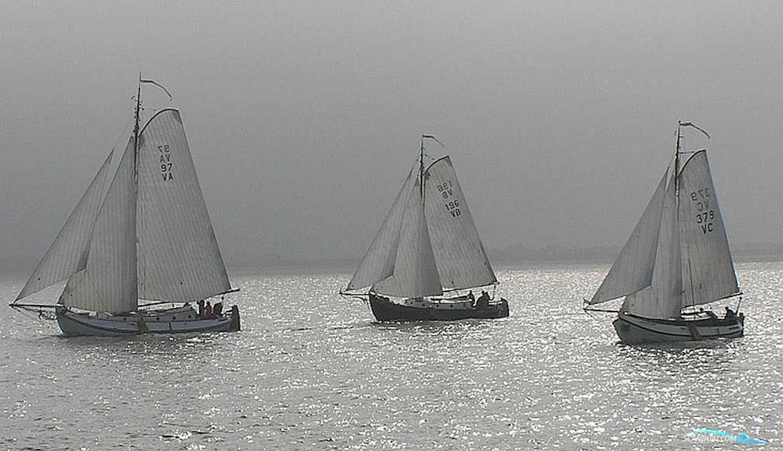 Lemsteraak Walrus - Roefuitvoering