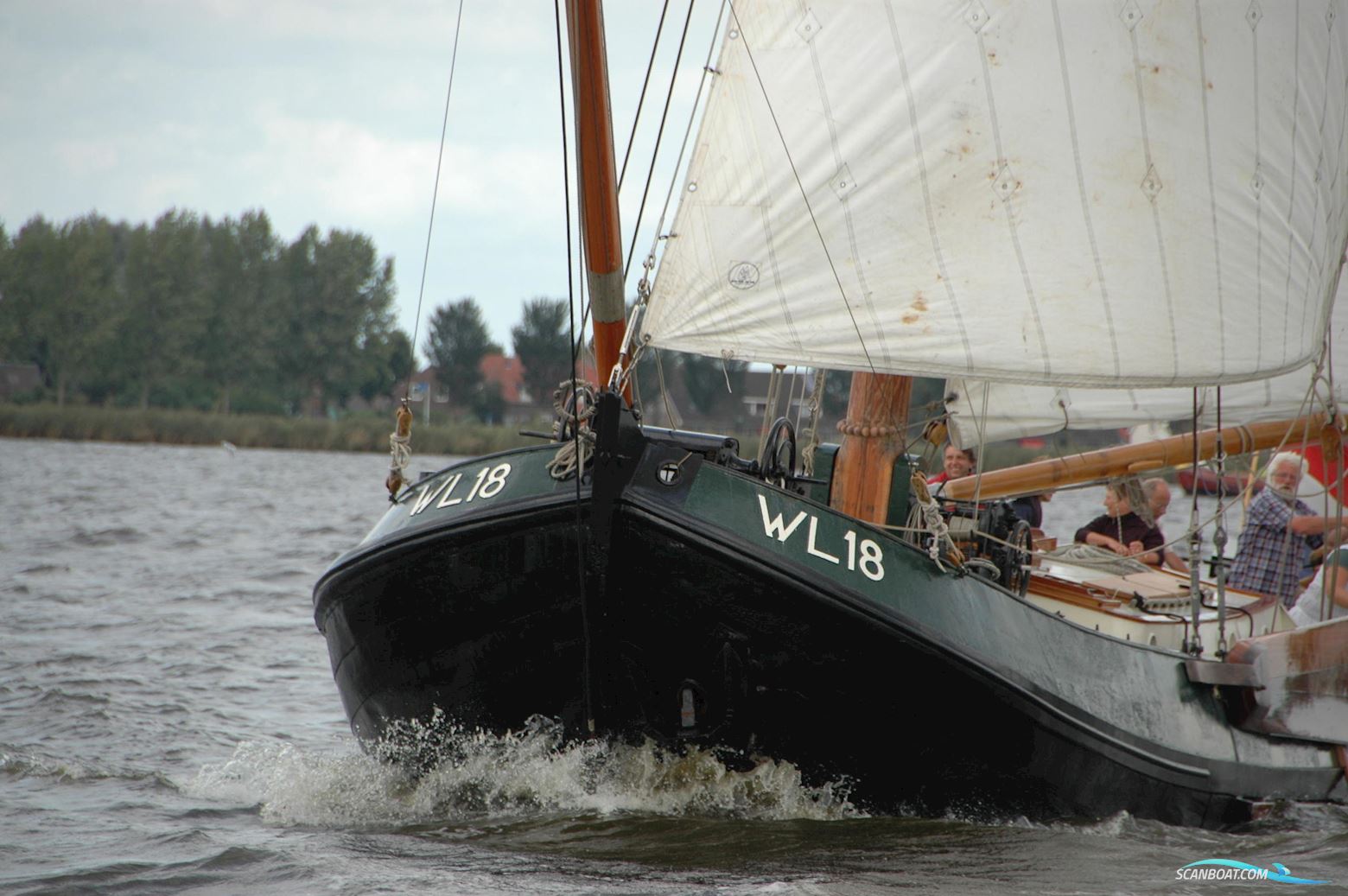 Lemsteraak WL 18 Fasant - Roefuitvoering Jachtuitvoering