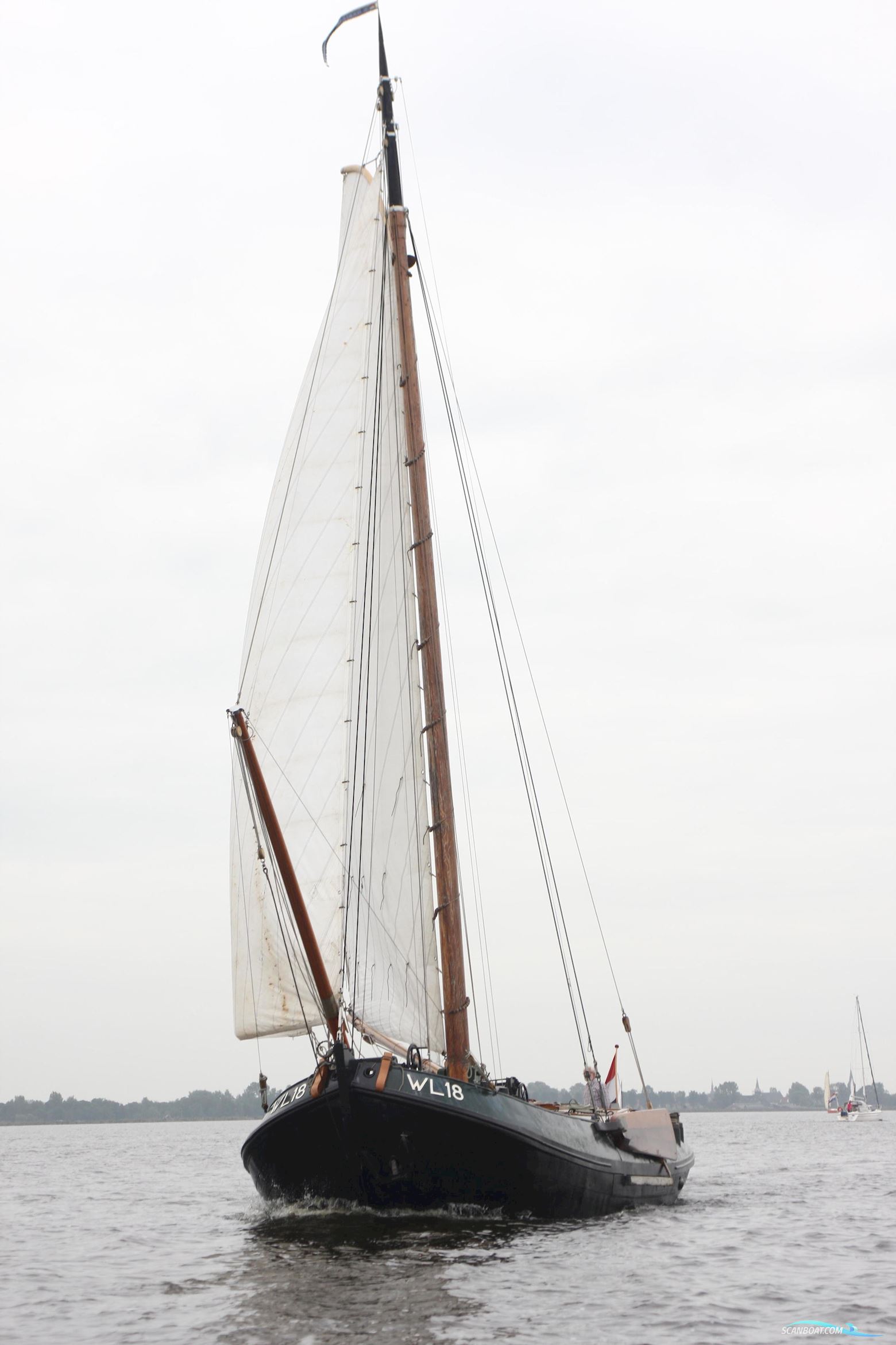 Lemsteraak WL 18 Fasant - Roefuitvoering Jachtuitvoering