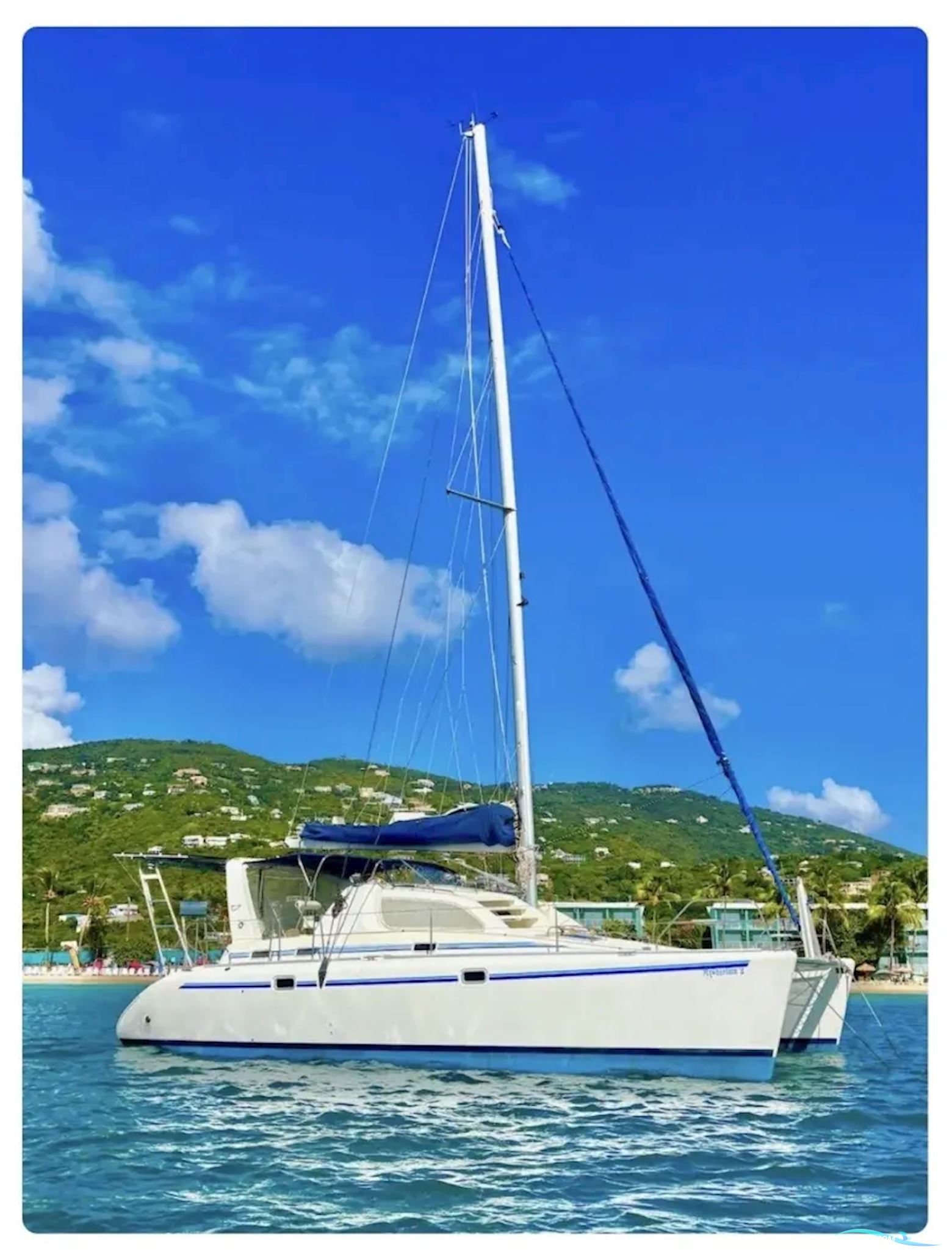 Leopard 38