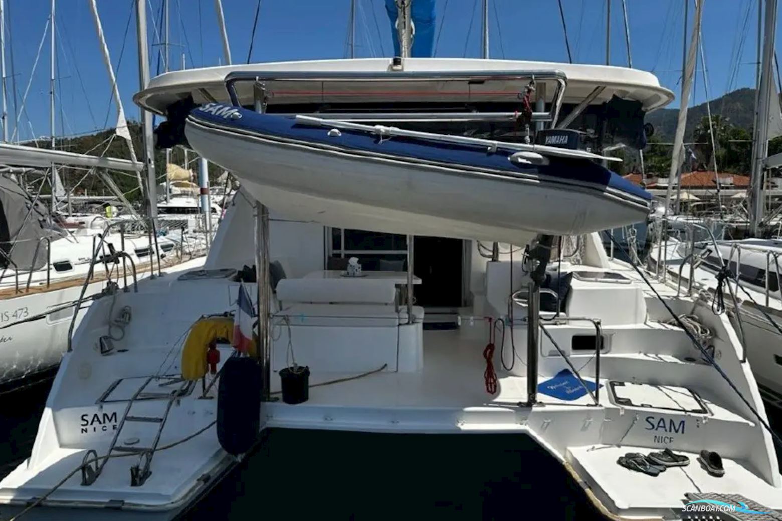 Leopard 38