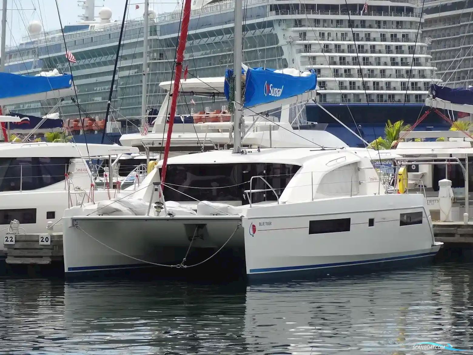 Leopard 40
