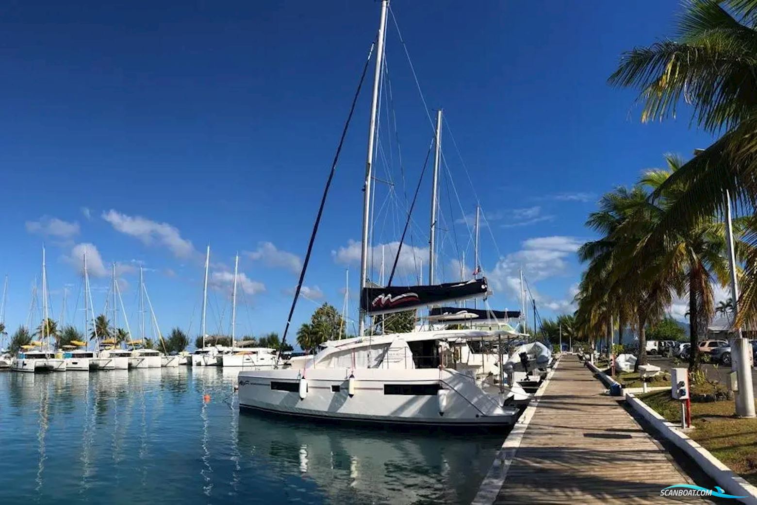 Leopard 40