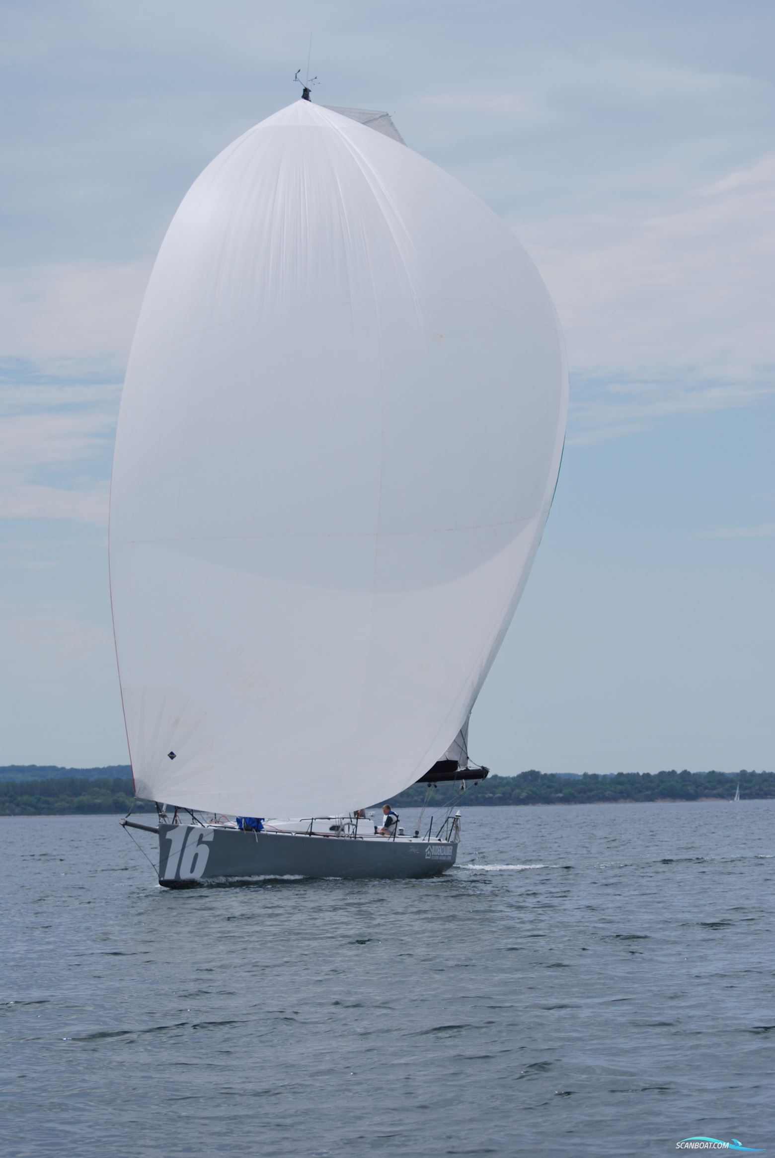 Lion Yachts Class 40