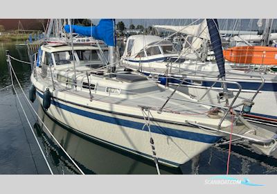 LM 30 Zeilboten 1986, met Yanmar 3YM30 motor, Duitsland