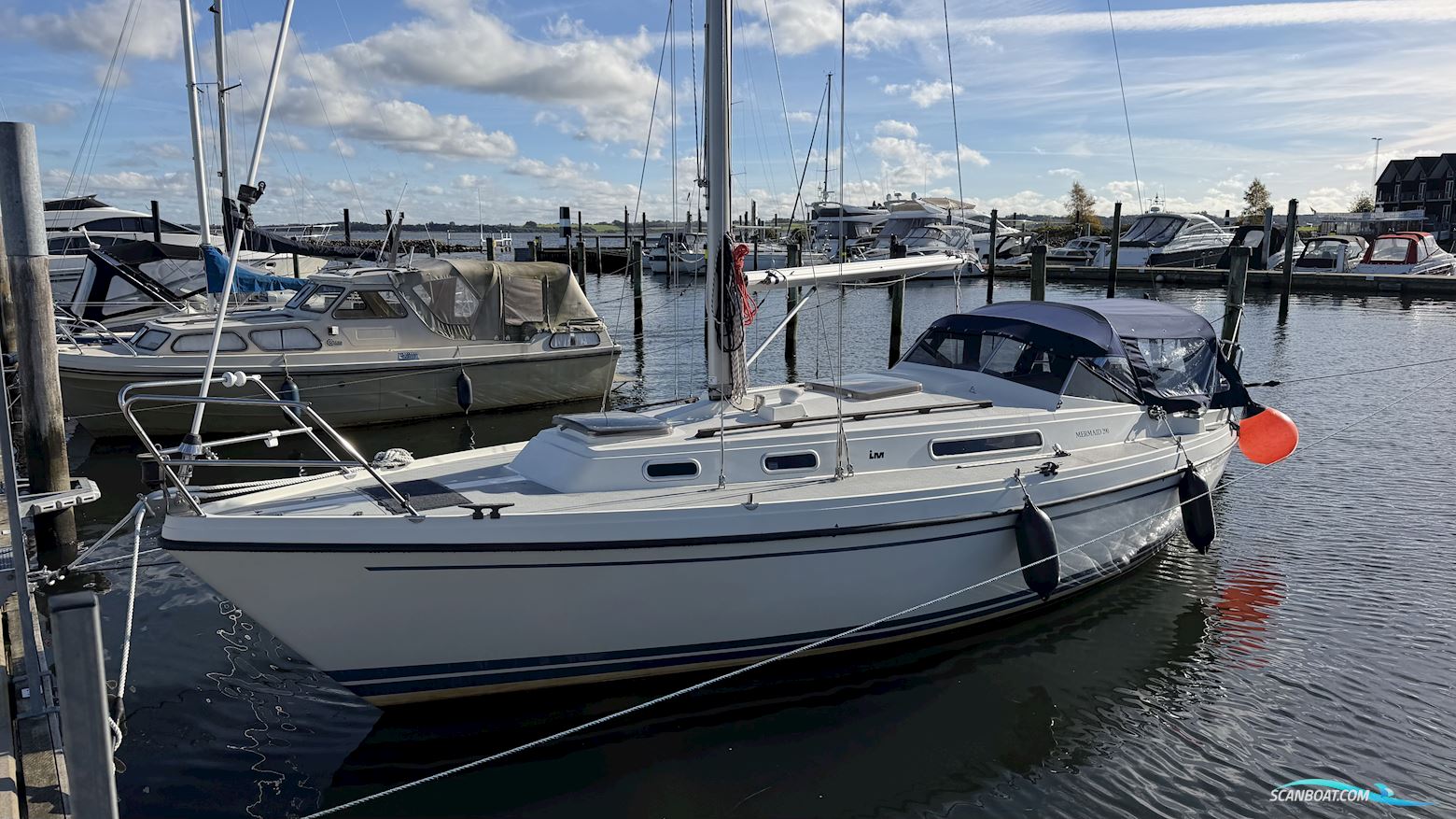 LM Mermaid 290