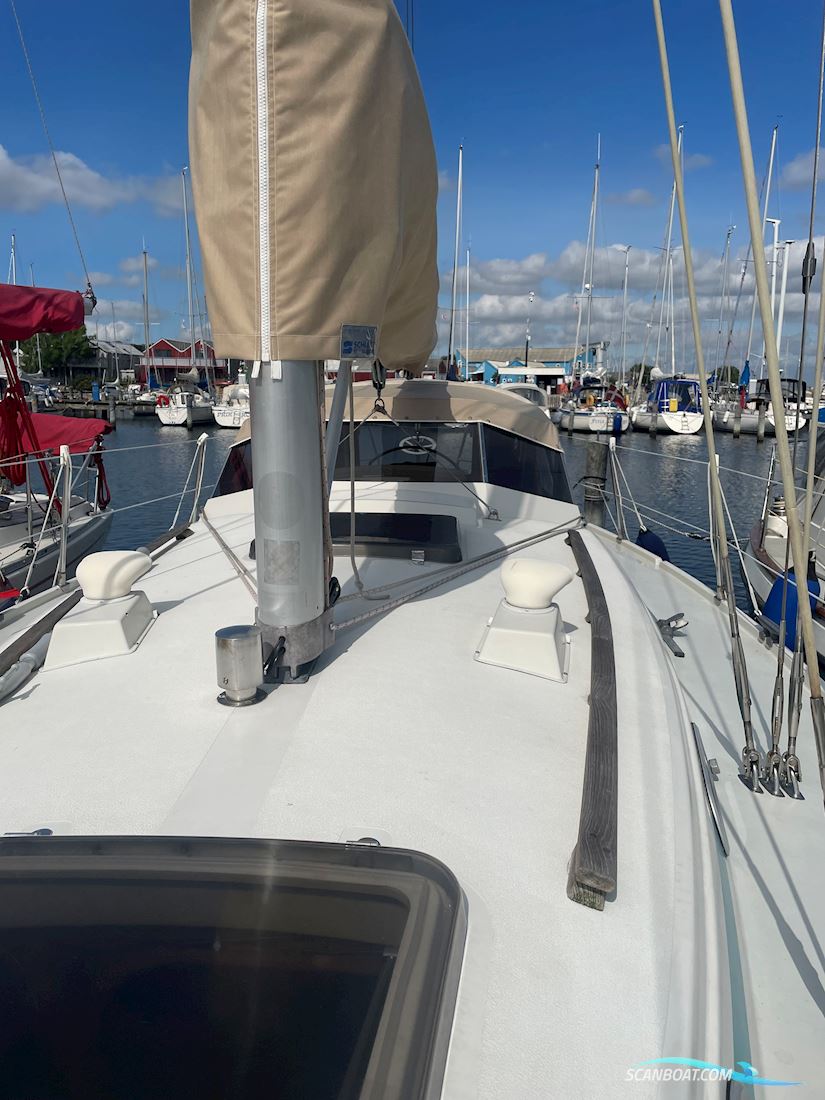 LM Mermaid 315