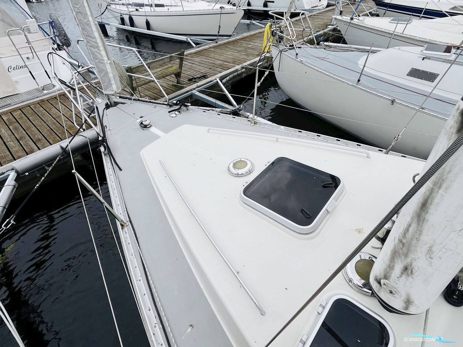 LM Vitesse 35 Vision