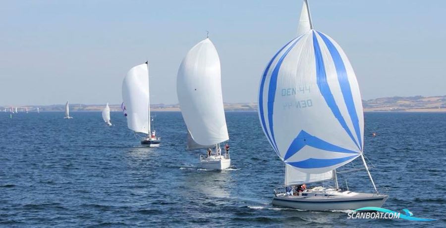 Luffe 37 Zeilboten 1984, met Volvo Penta motor, Denemarken