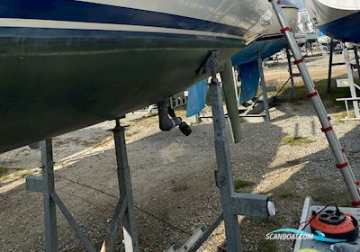 Luffe 37 Zeilboten 1989, met Volvo Penta 2002 motor, Denemarken