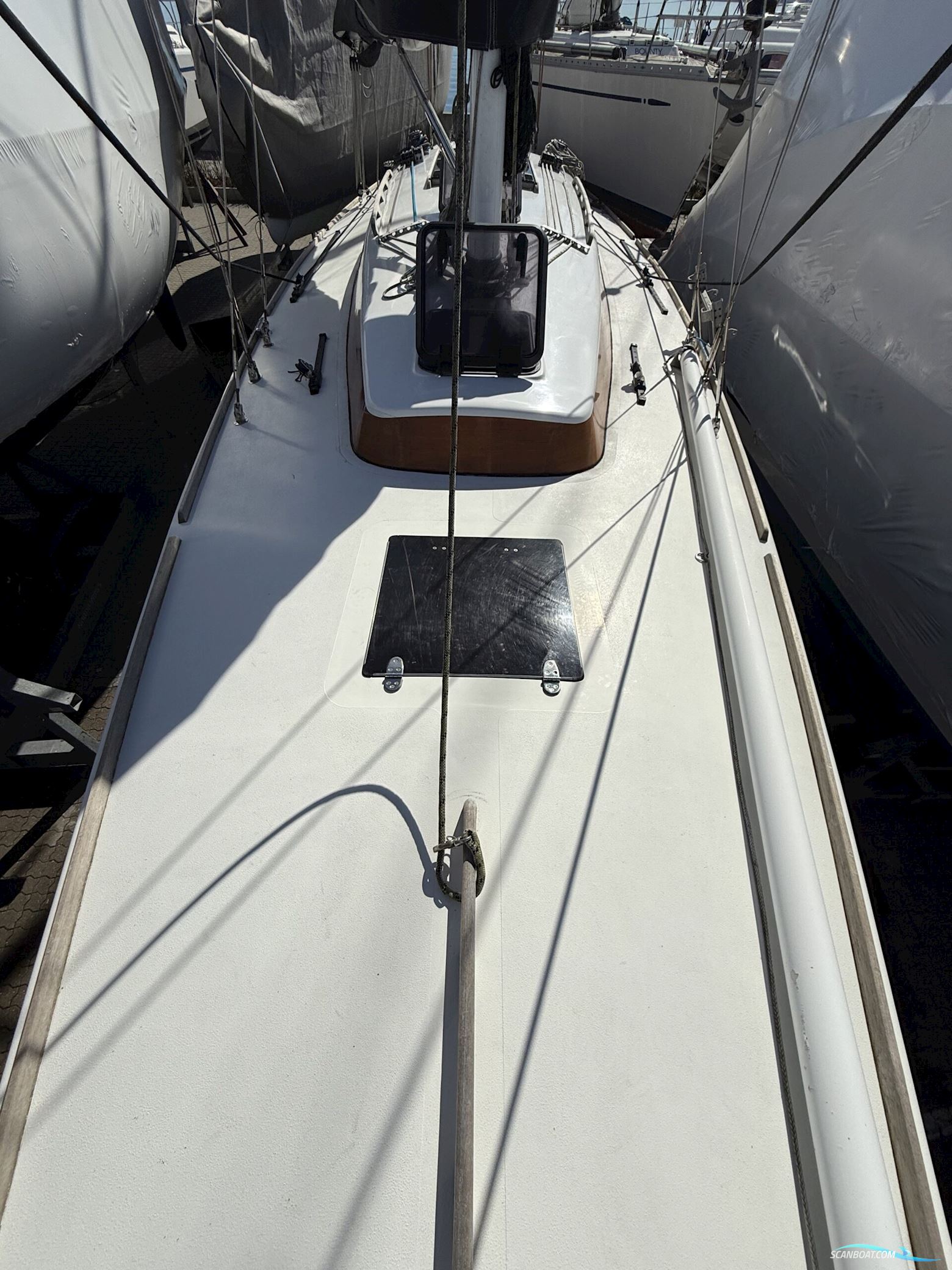 Luffe 40 One Off. NEDSAT