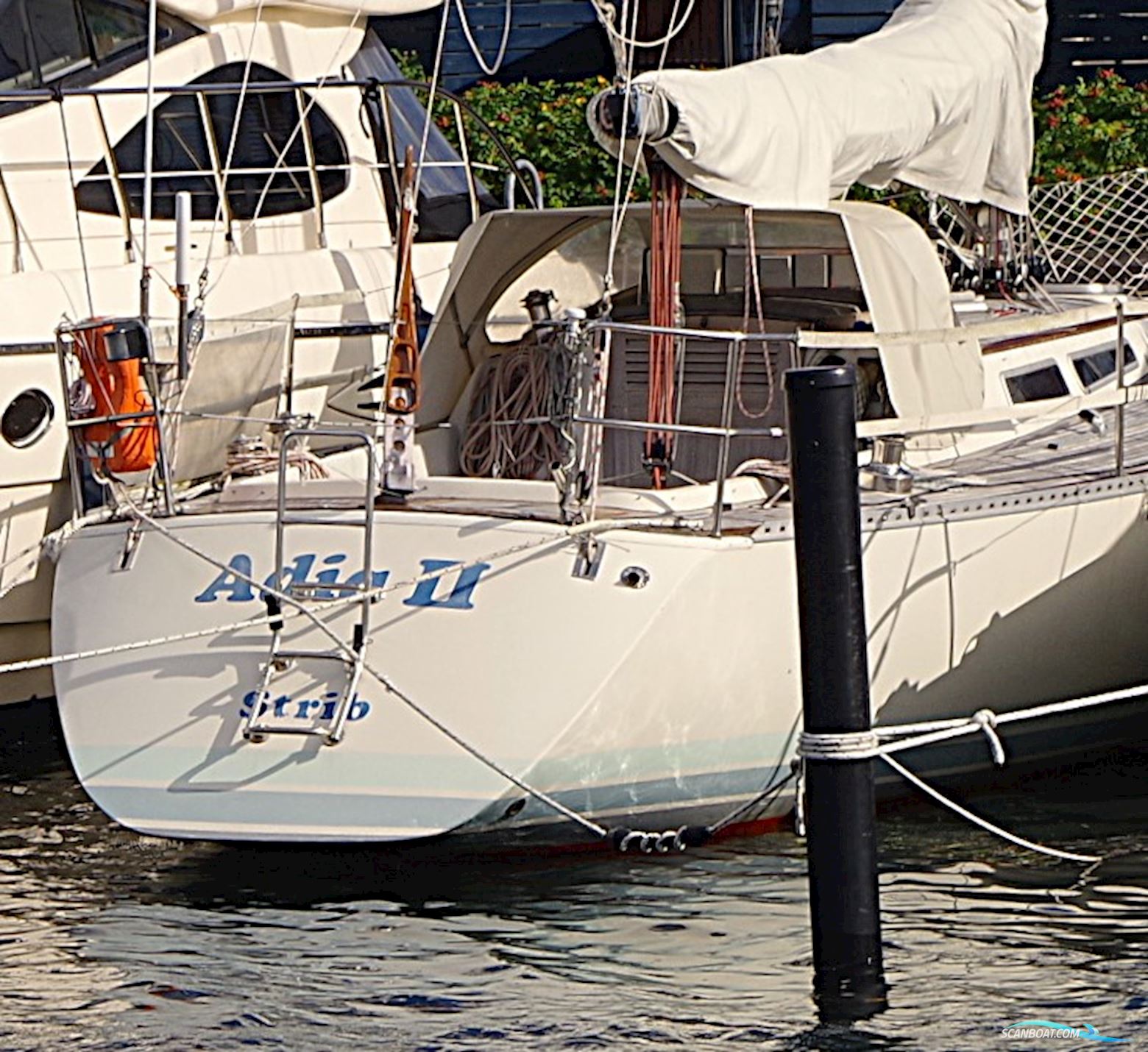 Luffe Luffe 44
