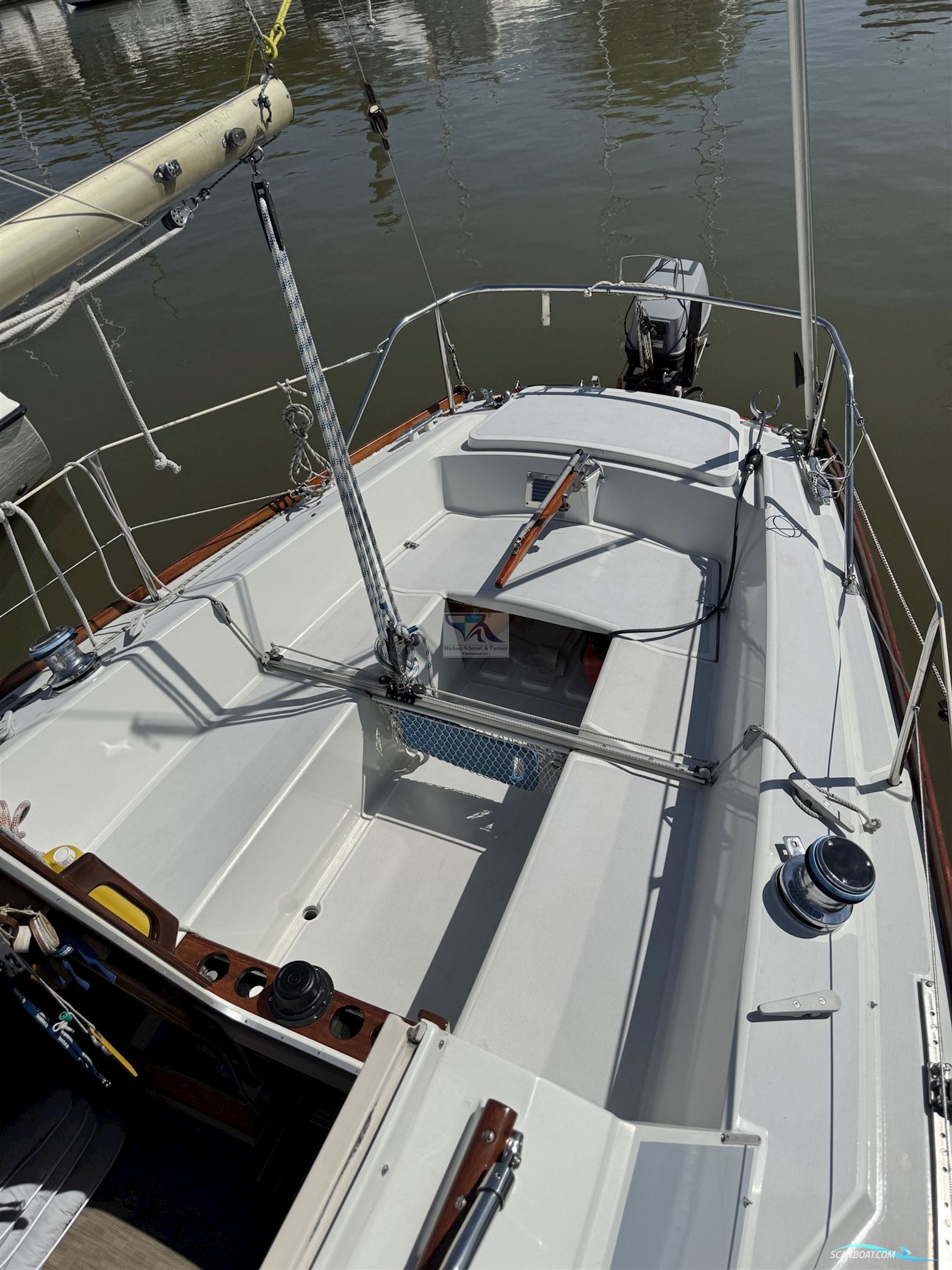 Mallard Ecume de Mer