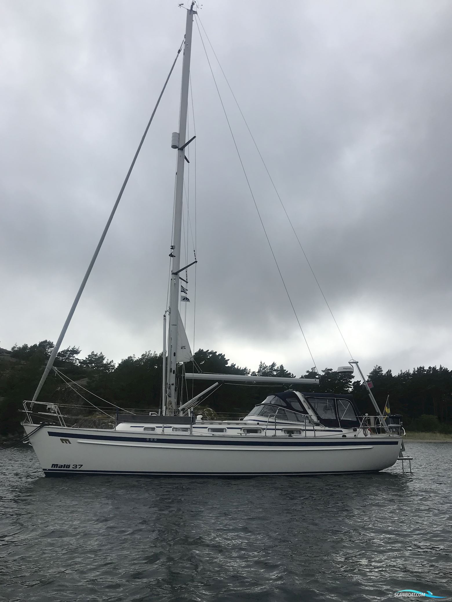 Malö 37 Classic