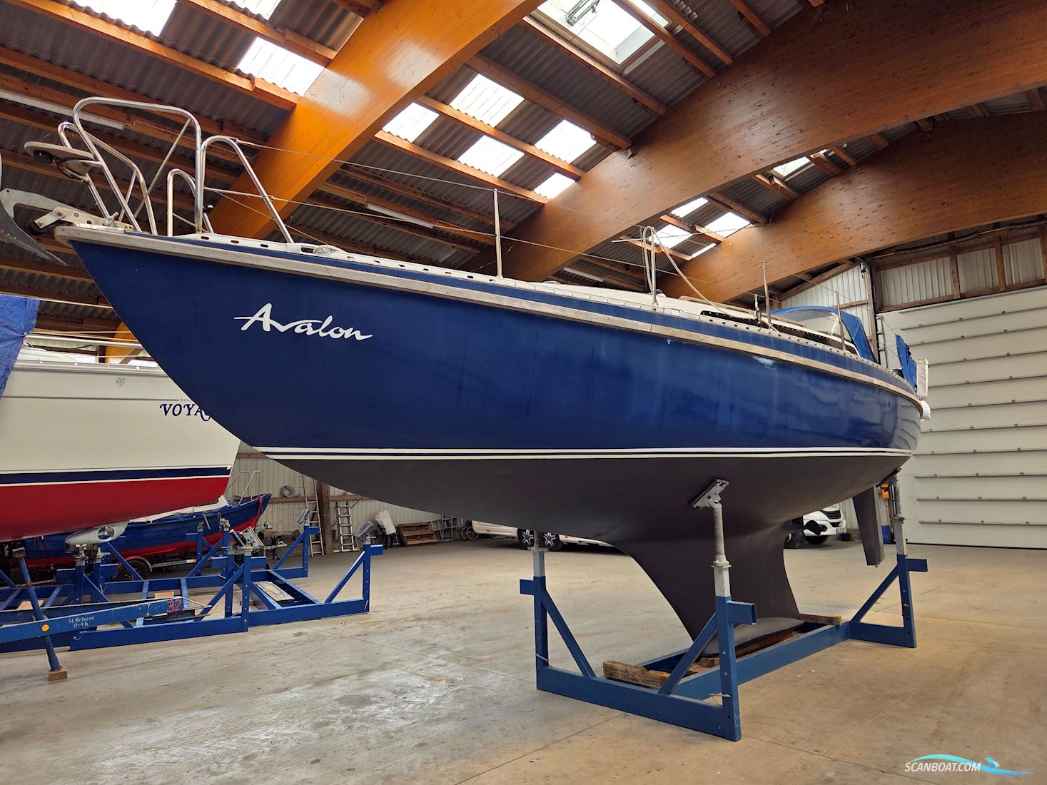 Marckmann Konsul 37