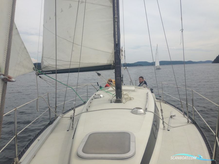 Marinette 33