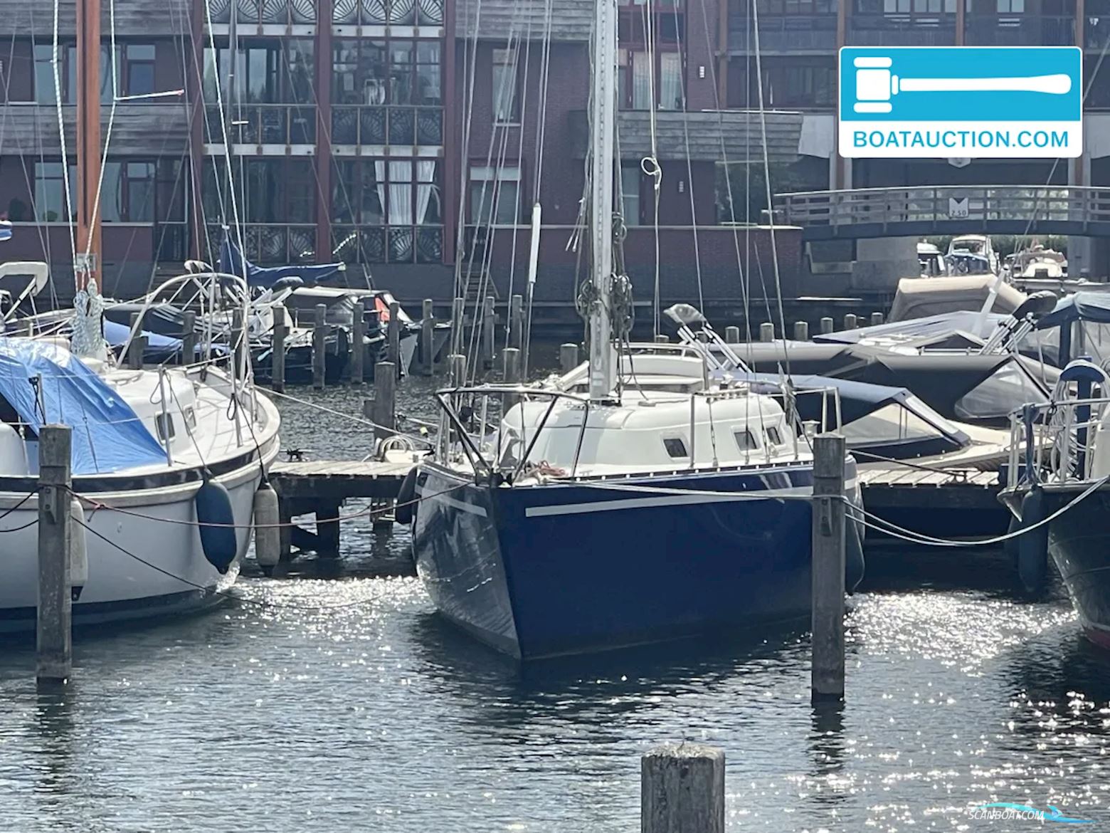 Martin 29