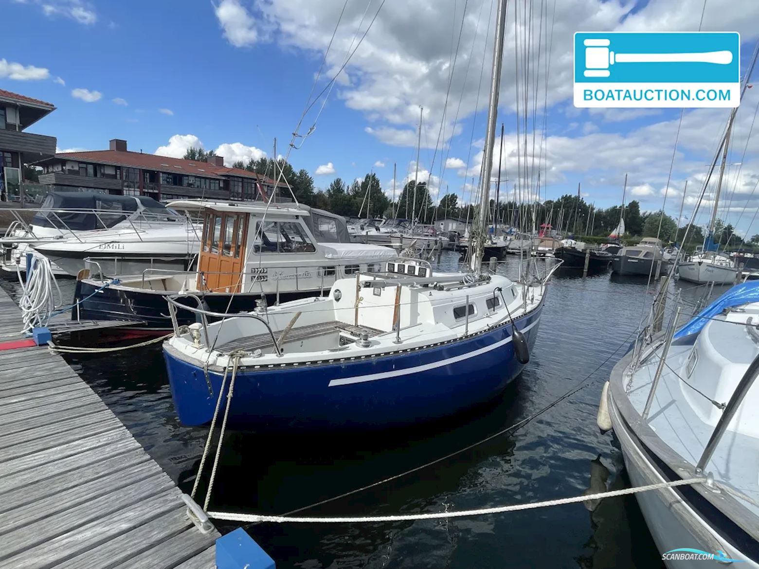 Martin 29