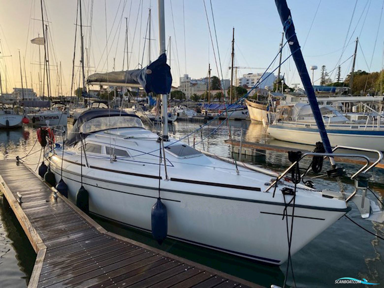 Maxi 800