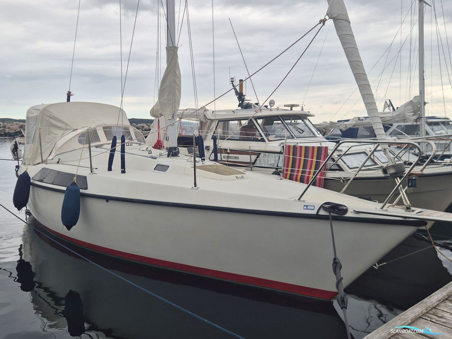 Maxi 84