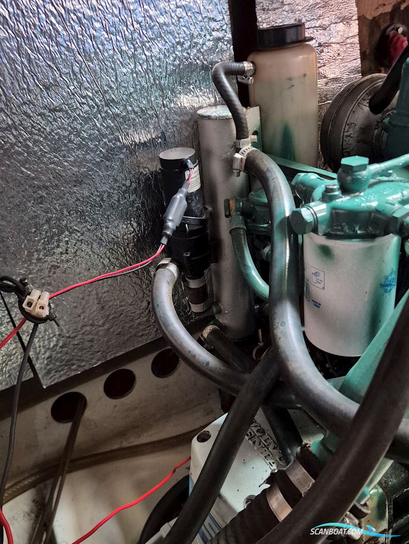 Maxi 84