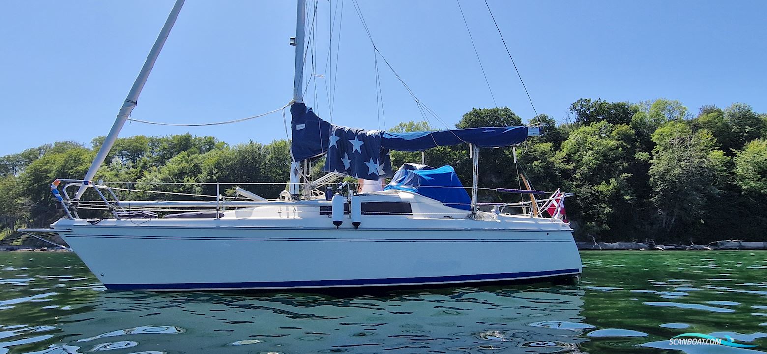 Maxi Fenix Dinette Med Nyere Motor.