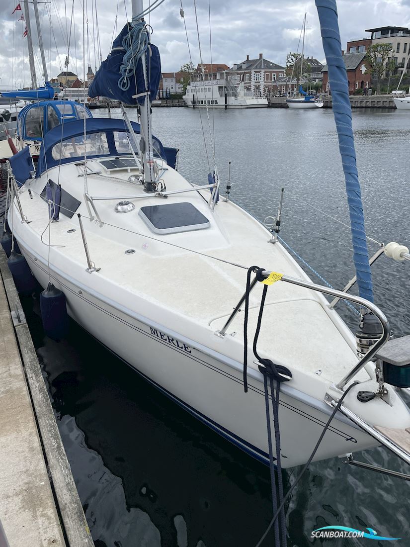 Maxi Fenix Dinette