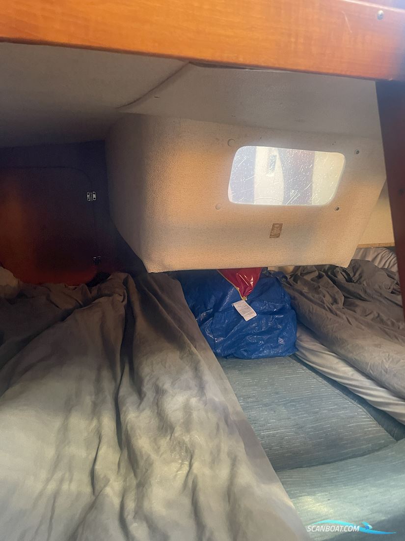 Maxi Fenix Dinette