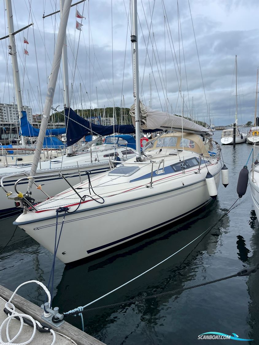 Maxi Fenix